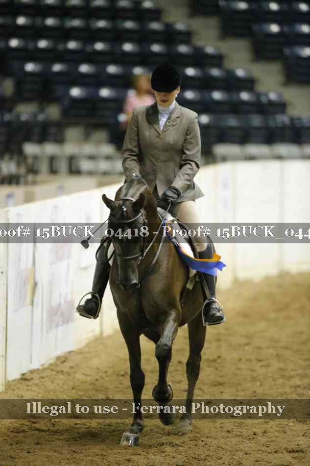 Proof 15BUCK_04418