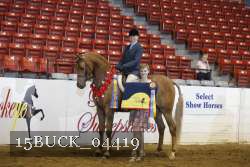 15BUCK_04419 proof