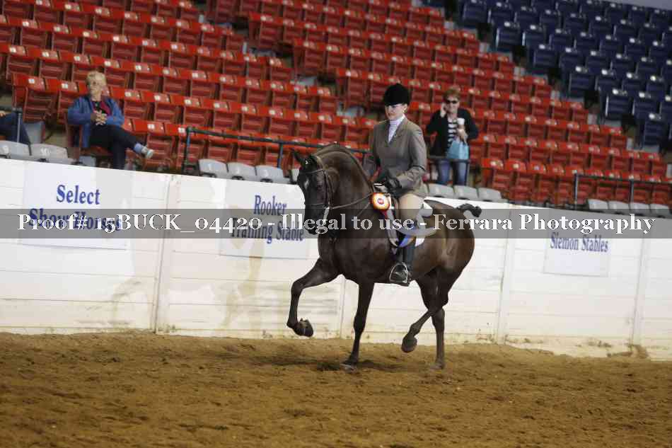 Proof 15BUCK_04420