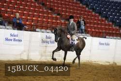 15BUCK_04420 proof