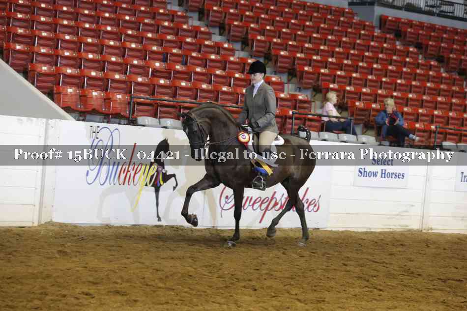Proof 15BUCK_04421