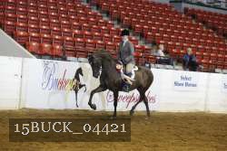 15BUCK_04421 proof