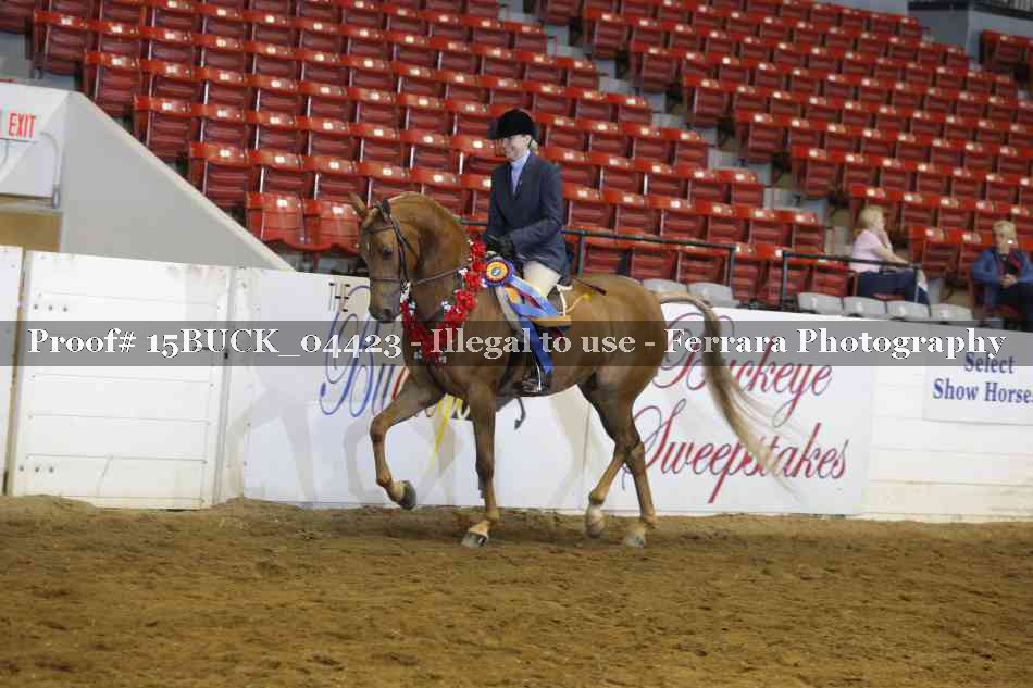 Proof 15BUCK_04423