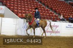 15BUCK_04423 proof