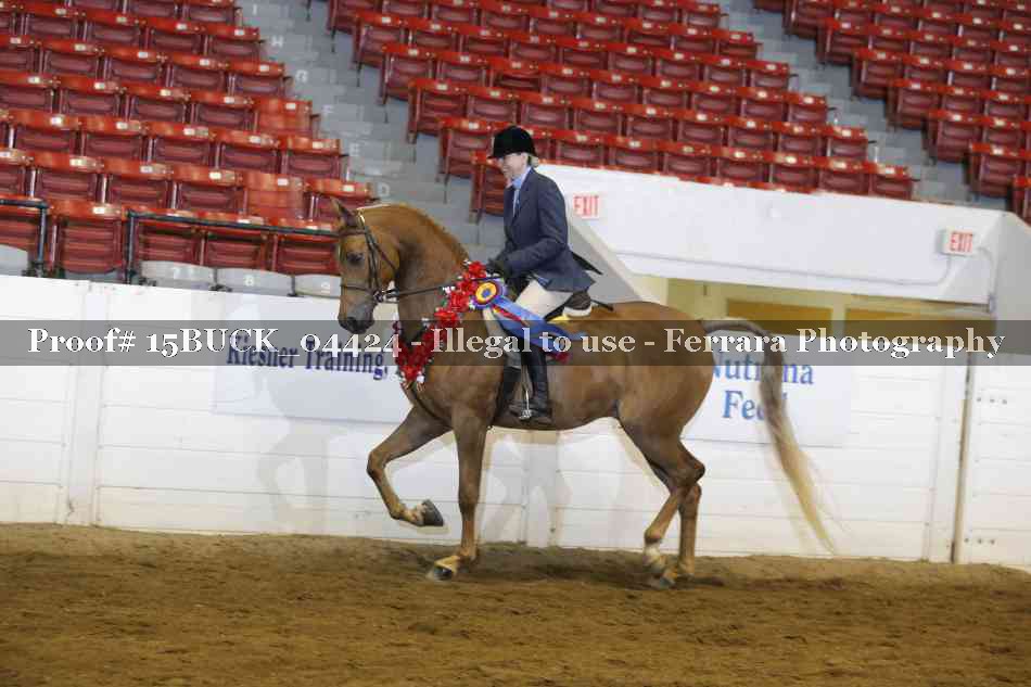 Proof 15BUCK_04424