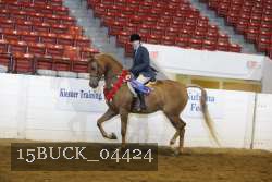 15BUCK_04424 proof