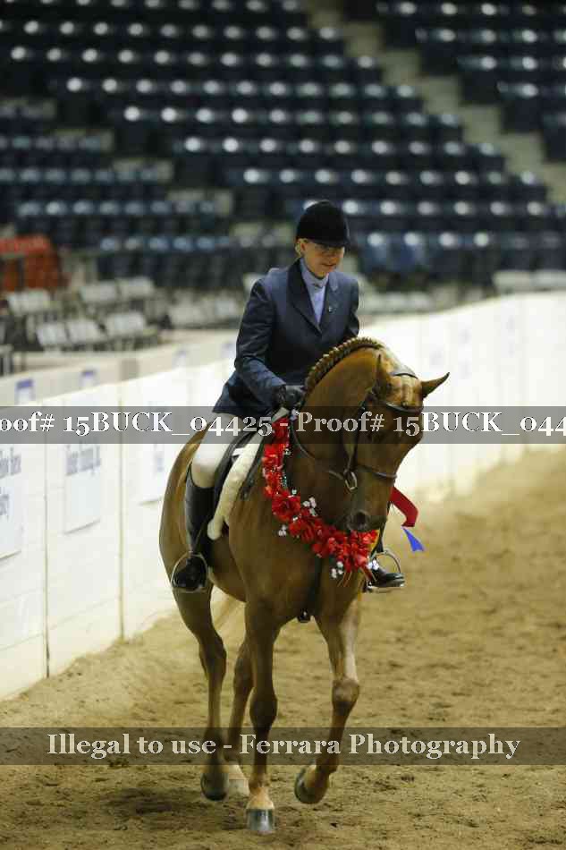 Proof 15BUCK_04425