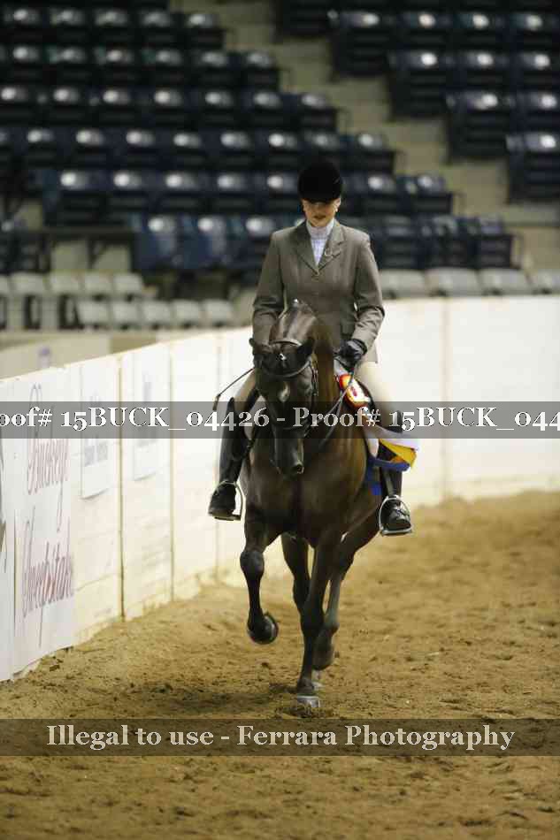 Proof 15BUCK_04426