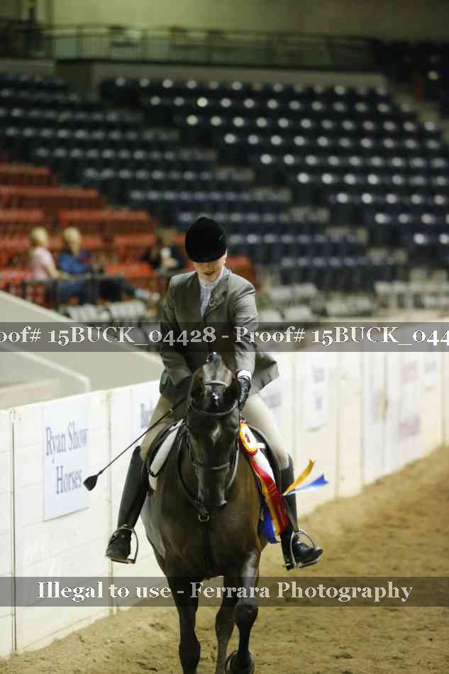 Proof 15BUCK_04428
