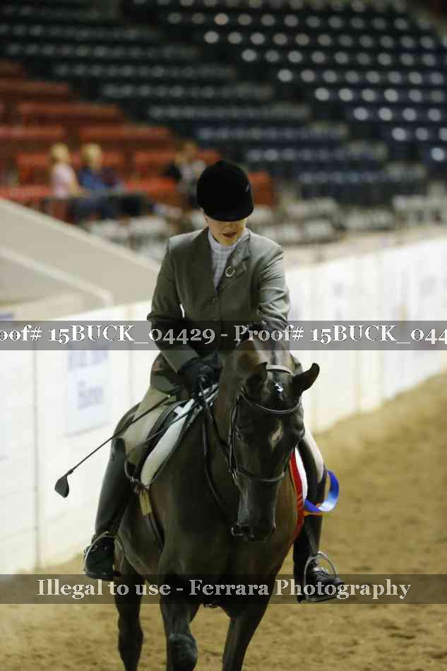 Proof 15BUCK_04429