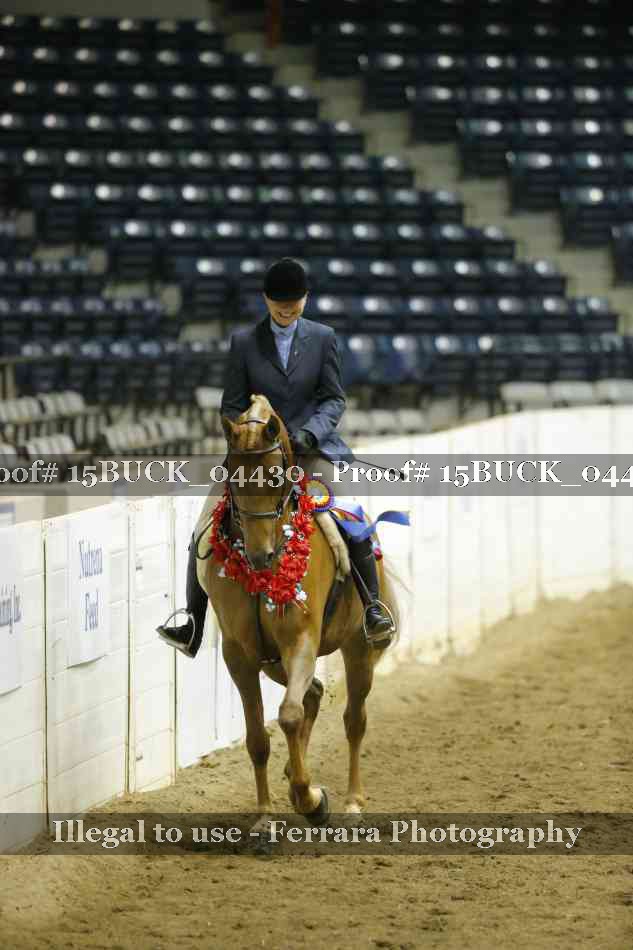 Proof 15BUCK_04430
