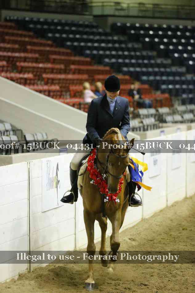 Proof 15BUCK_04431