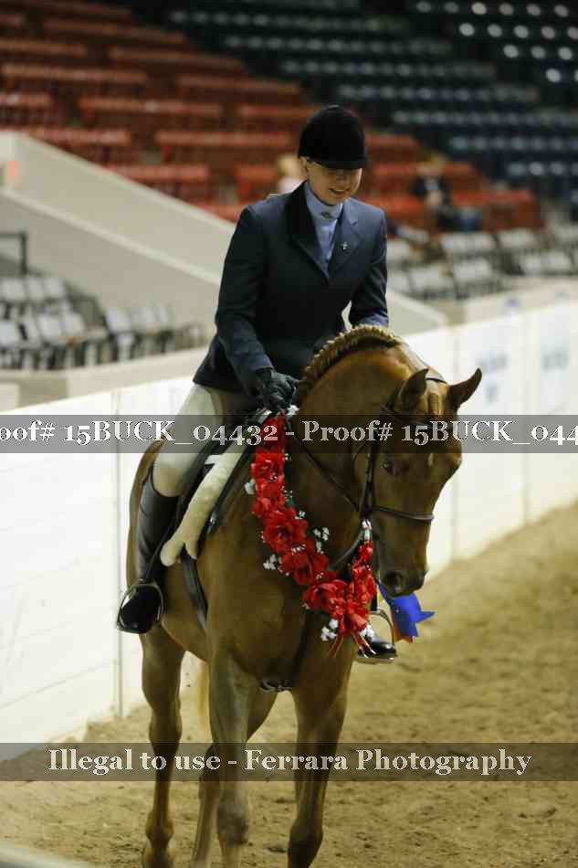 Proof 15BUCK_04432