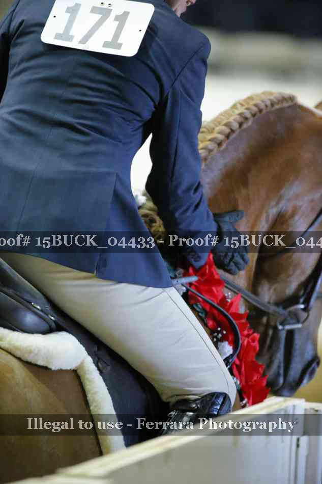 Proof 15BUCK_04433