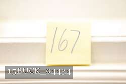 15BUCK_04434 proof