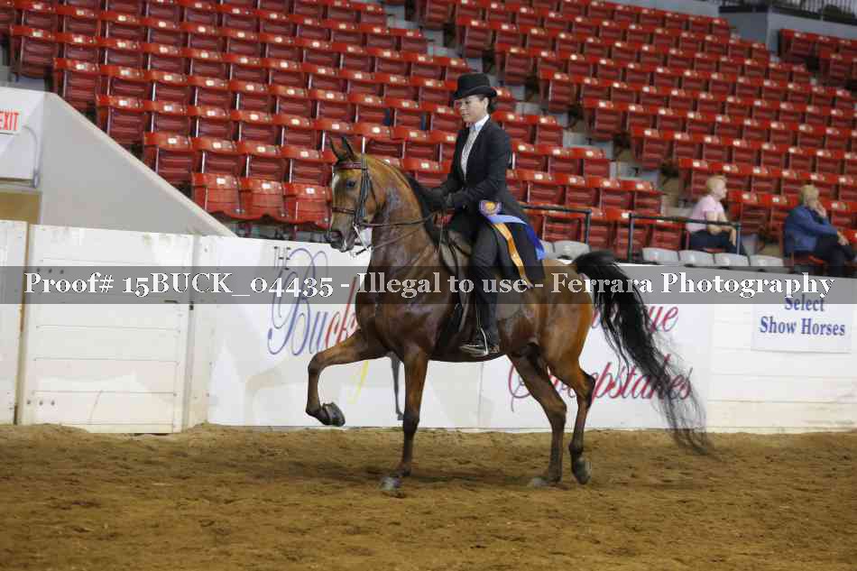 Proof 15BUCK_04435