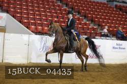 15BUCK_04435 proof
