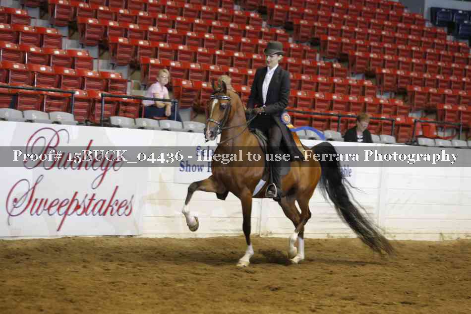 Proof 15BUCK_04436