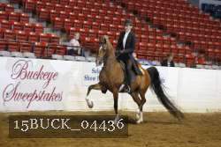 15BUCK_04436 proof