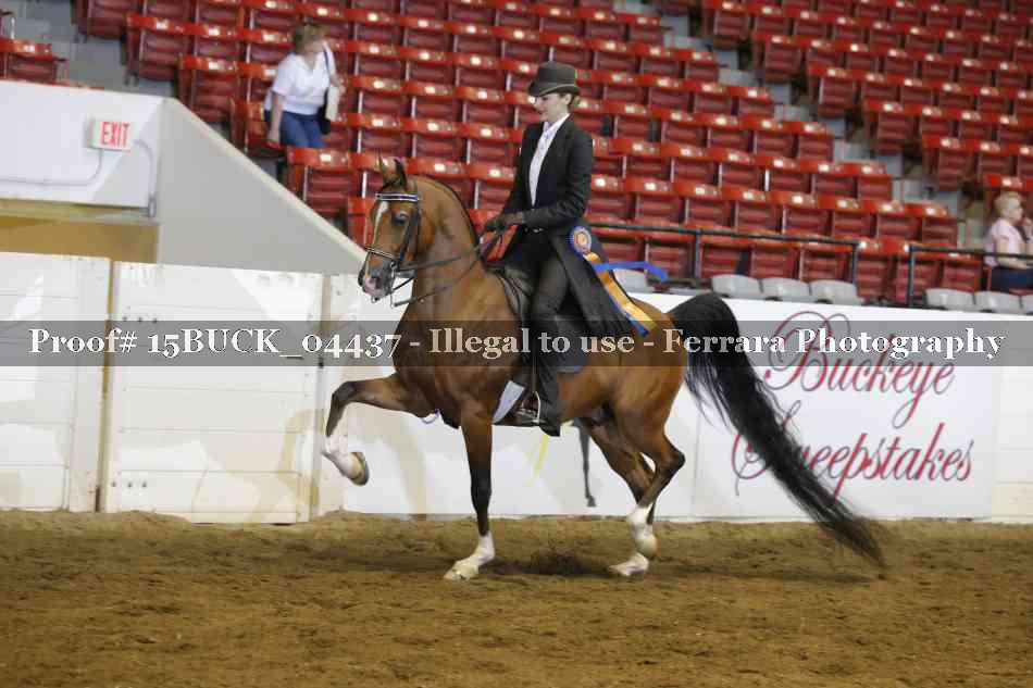 Proof 15BUCK_04437