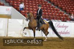 15BUCK_04437 proof