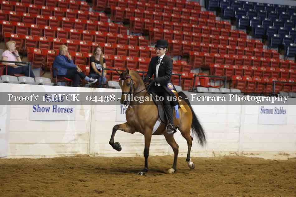 Proof 15BUCK_04438