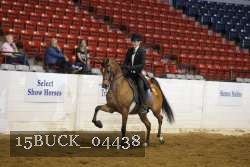 15BUCK_04438 proof