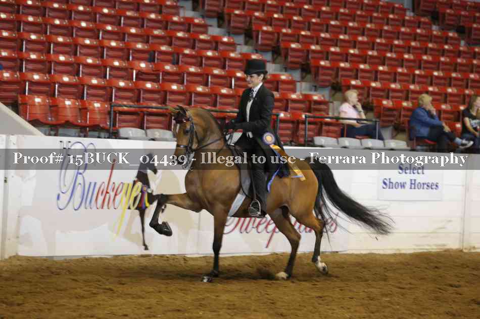 Proof 15BUCK_04439