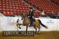 15BUCK_04439 proof