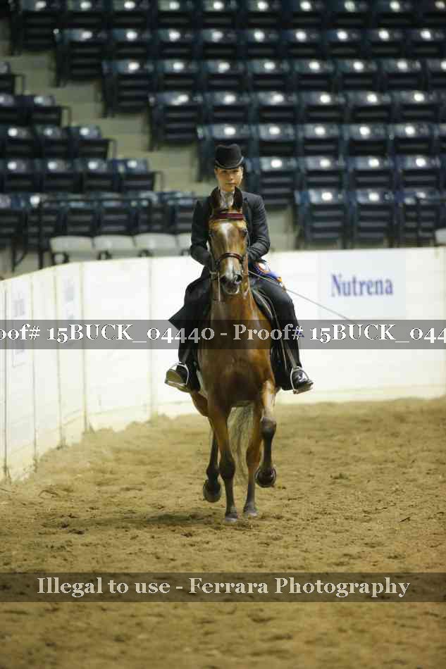 Proof 15BUCK_04440
