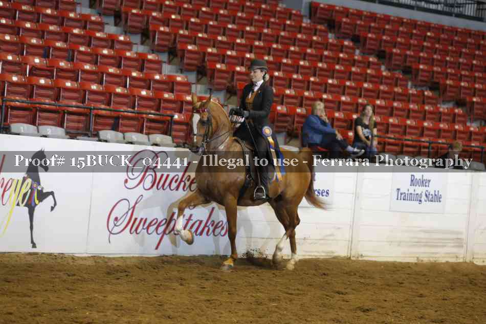 Proof 15BUCK_04441