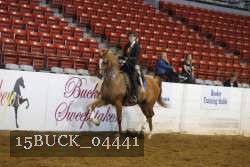 15BUCK_04441 proof