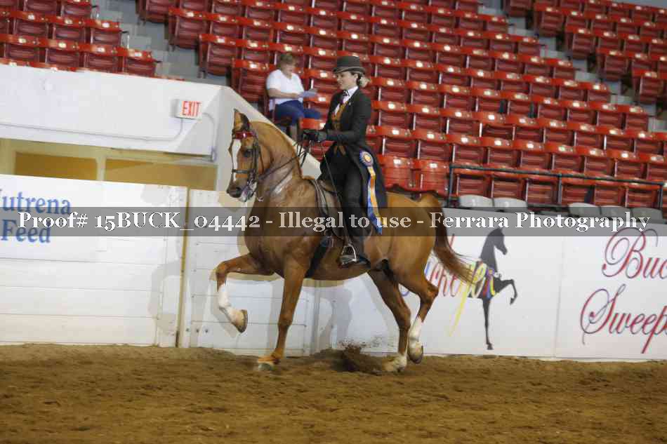 Proof 15BUCK_04442