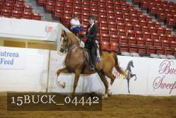 15BUCK_04442 proof