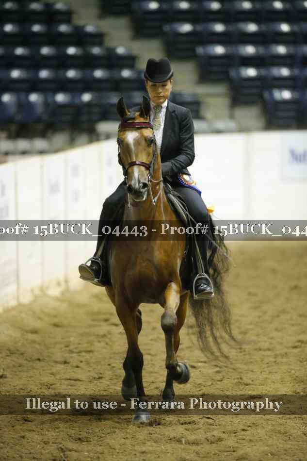 Proof 15BUCK_04443