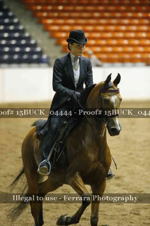 Proof 15BUCK_04444