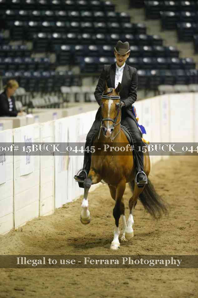Proof 15BUCK_04445