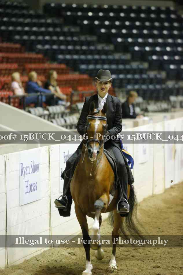 Proof 15BUCK_04446