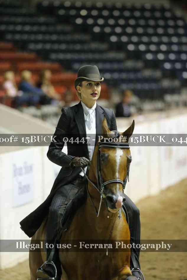 Proof 15BUCK_04447