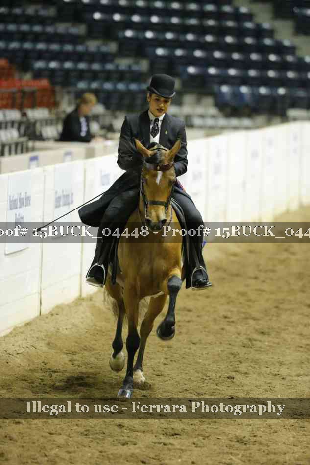 Proof 15BUCK_04448