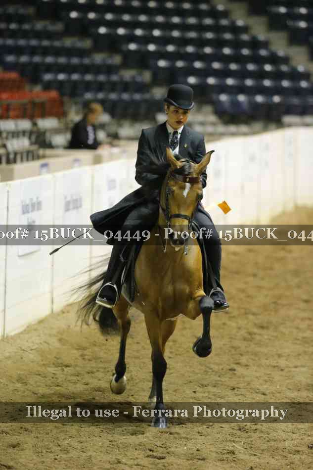 Proof 15BUCK_04449