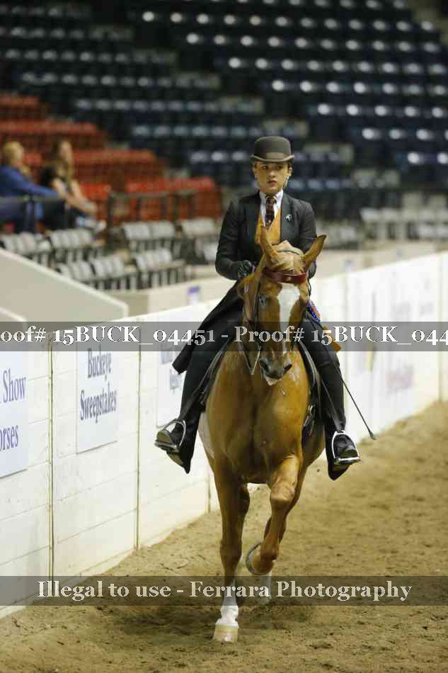 Proof 15BUCK_04451