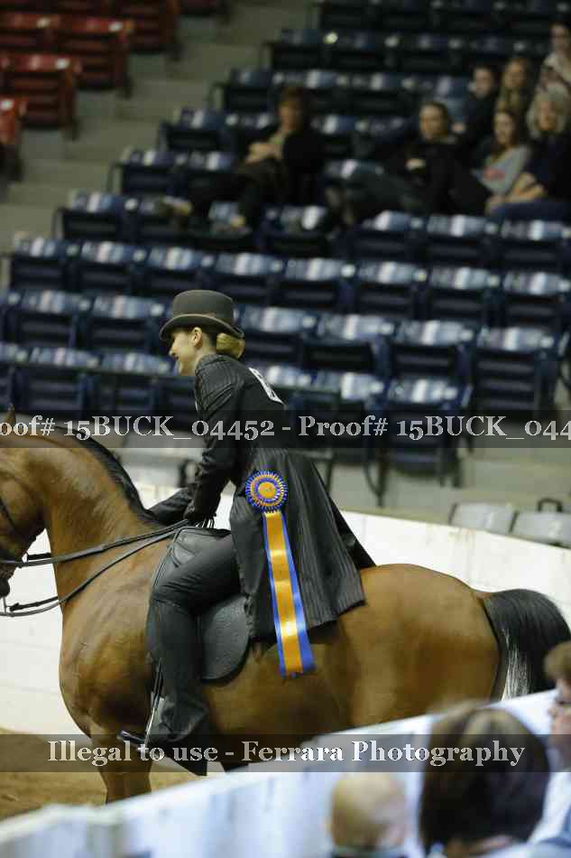 Proof 15BUCK_04452