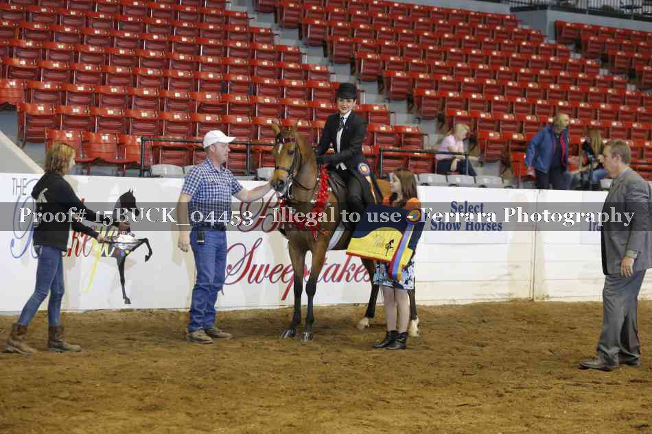 Proof 15BUCK_04453