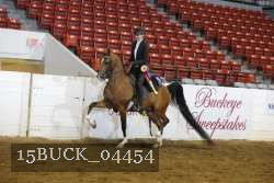 15BUCK_04454 proof