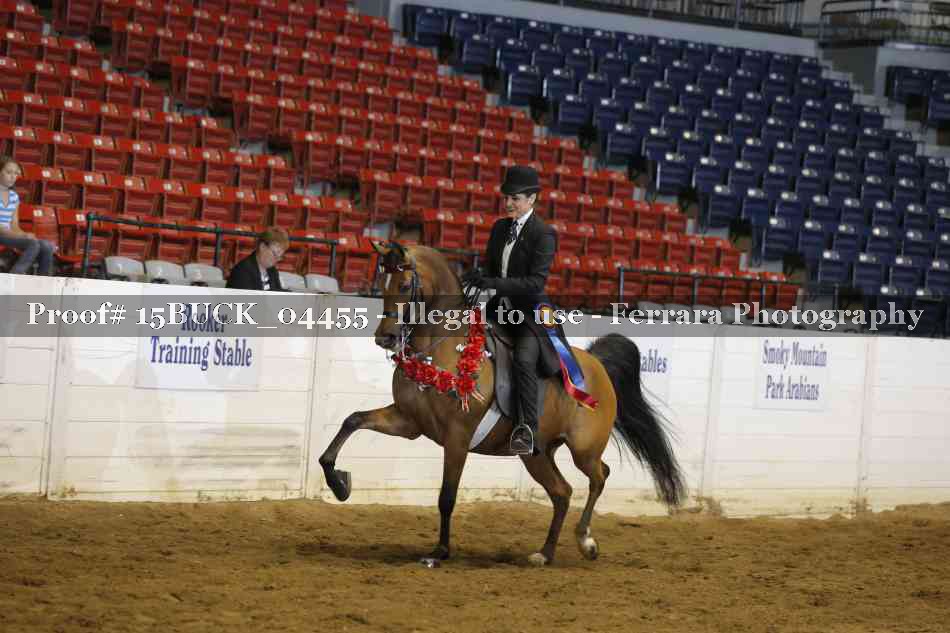 Proof 15BUCK_04455