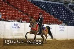 15BUCK_04455 proof