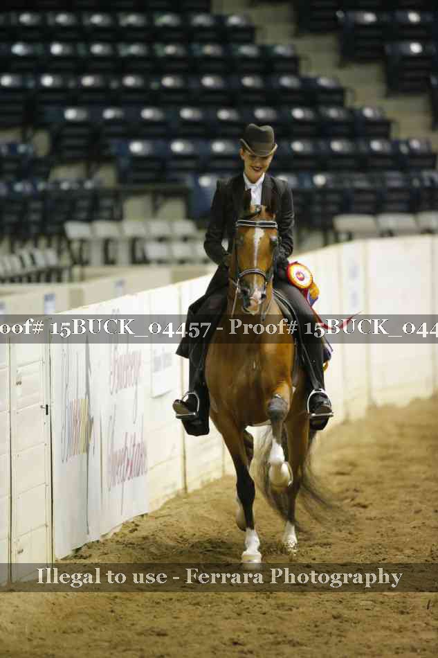 Proof 15BUCK_04457