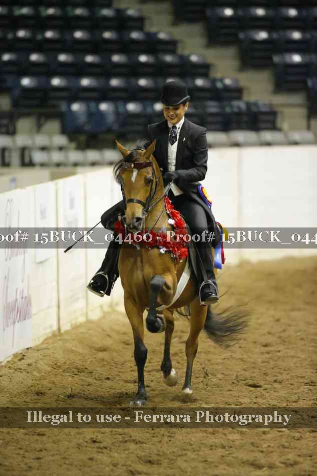 Proof 15BUCK_04460