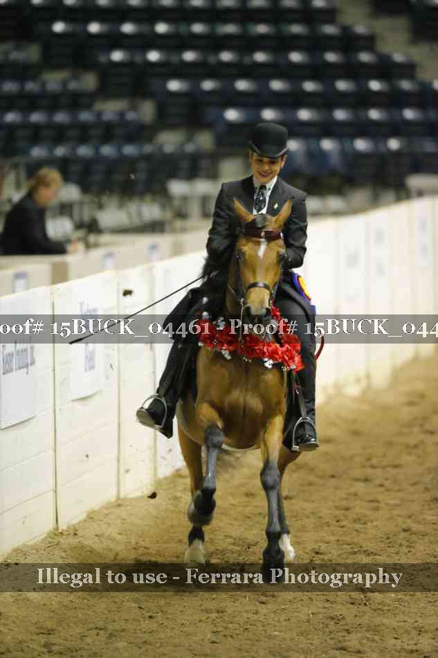 Proof 15BUCK_04461